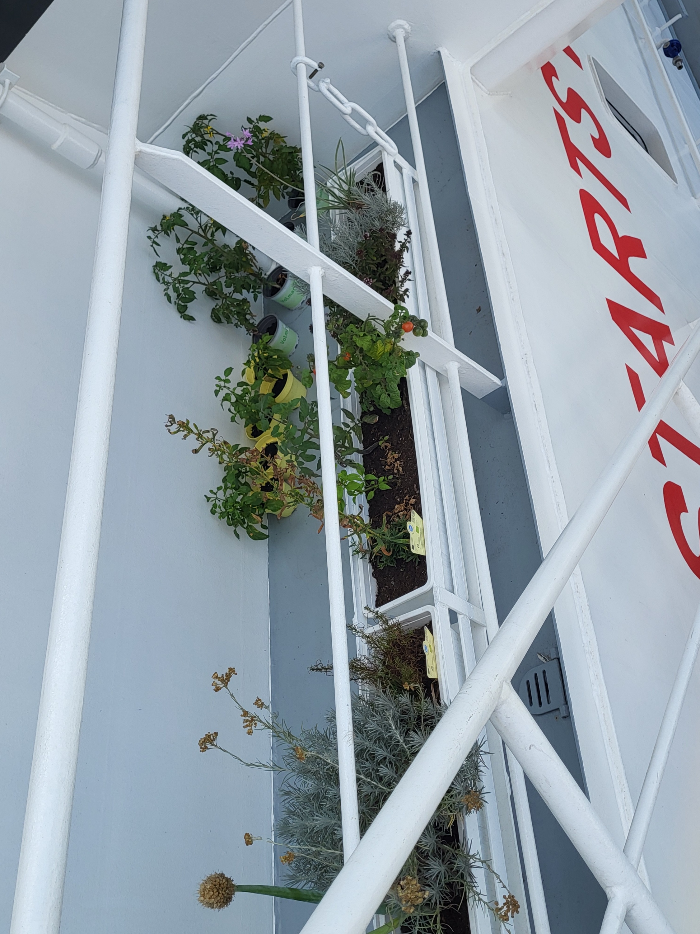 Rundbrief_08-26_Ricarda_Balkon.jpg